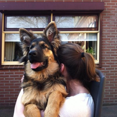 Biack dex 6 maand oud